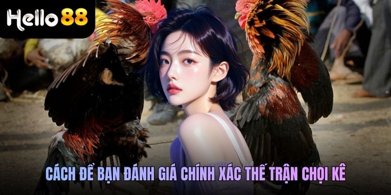 Cách để bạn đánh giá chính xác thế trận chọi kê